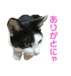 むぎとおはぎのキモチ（個別スタンプ：21）
