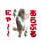 むぎとおはぎのキモチ（個別スタンプ：23）