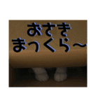むぎとおはぎのキモチ（個別スタンプ：24）