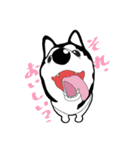 ロキ雄とソラ子（個別スタンプ：10）