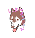 ロキ雄とソラ子（個別スタンプ：12）