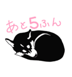 ロキ雄とソラ子（個別スタンプ：13）