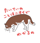 ロキ雄とソラ子（個別スタンプ：16）