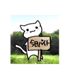 【日常会話】白いネコさん（個別スタンプ：38）