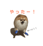 ハイパーこた（個別スタンプ：2）