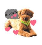 まめた、ここちゃん、たまににこちゃん（個別スタンプ：1）