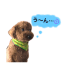 まめた、ここちゃん、たまににこちゃん（個別スタンプ：2）