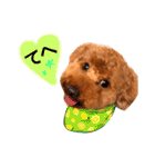 まめた、ここちゃん、たまににこちゃん（個別スタンプ：3）