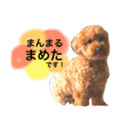 まめた、ここちゃん、たまににこちゃん（個別スタンプ：7）