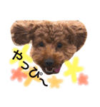 まめた、ここちゃん、たまににこちゃん（個別スタンプ：9）