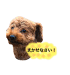 まめた、ここちゃん、たまににこちゃん（個別スタンプ：10）