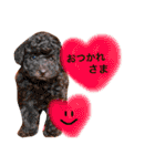 まめた、ここちゃん、たまににこちゃん（個別スタンプ：16）