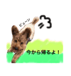 まめた、ここちゃん、たまににこちゃん（個別スタンプ：19）