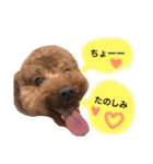 まめた、ここちゃん、たまににこちゃん（個別スタンプ：20）
