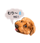 まめた、ここちゃん、たまににこちゃん（個別スタンプ：23）