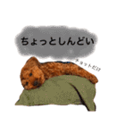 まめた、ここちゃん、たまににこちゃん（個別スタンプ：28）