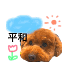 まめた、ここちゃん、たまににこちゃん（個別スタンプ：30）