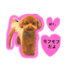 まめた、ここちゃん、たまににこちゃん（個別スタンプ：32）