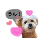 まめた、ここちゃん、たまににこちゃん（個別スタンプ：34）