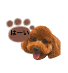 まめた、ここちゃん、たまににこちゃん（個別スタンプ：35）