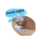 まめた、ここちゃん、たまににこちゃん（個別スタンプ：37）