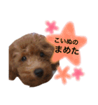 まめた、ここちゃん、たまににこちゃん（個別スタンプ：38）