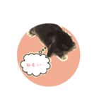 うさぎのラフくん（個別スタンプ：3）
