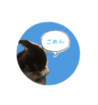 うさぎのラフくん（個別スタンプ：4）