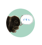 うさぎのラフくん（個別スタンプ：7）
