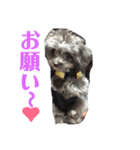 くろみさん（個別スタンプ：6）