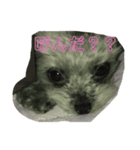 くろみさん（個別スタンプ：8）