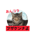 ワンニャンコ part1（個別スタンプ：3）