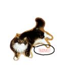 ノルウェージャンフォレストキャットrouis（個別スタンプ：3）