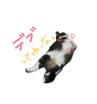 うちのユキチさん（個別スタンプ：14）