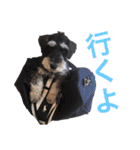 ルークがいる生活（個別スタンプ：3）