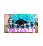 ルークがいる生活（個別スタンプ：23）