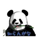 クマさんずスタンプ2（個別スタンプ：37）