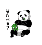 クマさんずスタンプ2（個別スタンプ：40）