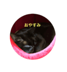 パンちん（個別スタンプ：2）