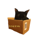 パンちん（個別スタンプ：4）