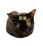 パンちん（個別スタンプ：14）