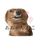 あちゃん スタンプ（個別スタンプ：4）