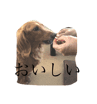 あちゃん スタンプ（個別スタンプ：5）