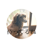 あちゃん スタンプ（個別スタンプ：8）