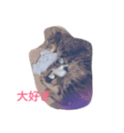 可愛い猫達！第1弾！（個別スタンプ：3）