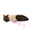 可愛い猫達！第1弾！（個別スタンプ：6）