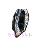 可愛い猫達！第1弾！（個別スタンプ：7）