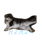 可愛い猫達！第1弾！（個別スタンプ：13）