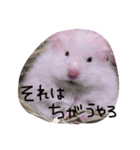私の可愛い娘達です！！！！（個別スタンプ：1）