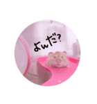 私の可愛い娘達です！！！！（個別スタンプ：3）